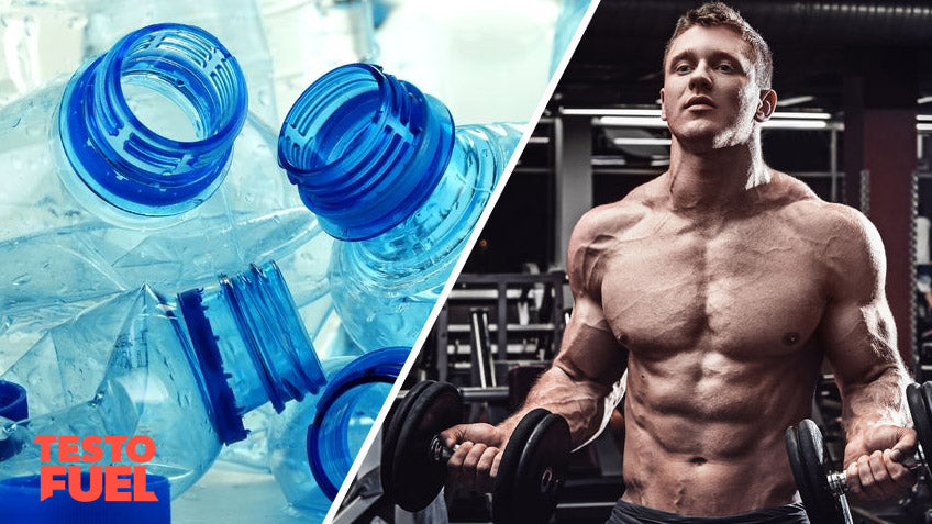 Bisphenol-Estrogenic-Feature