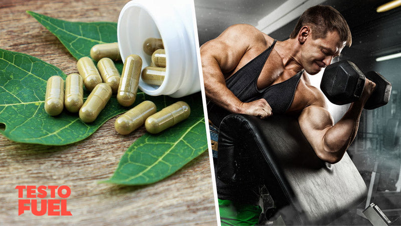 A bottle of bryonia supplement alongside a man doing bicep curls on a preacher bench with a dumbbell