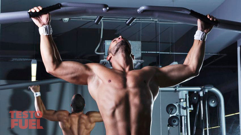 Chest Testosterone
