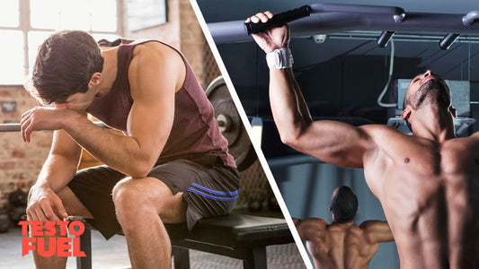 Cortisol Stress-and-Testosterone