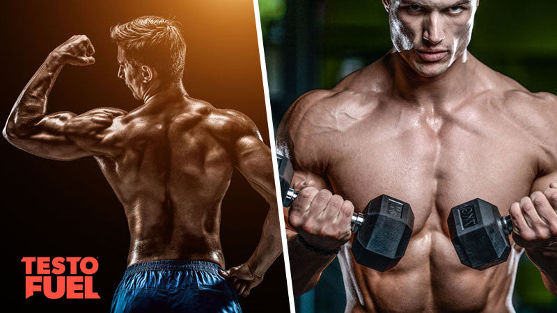Guide to Cutting Fat Not Muscle: Body Recomposition – TestoFuel