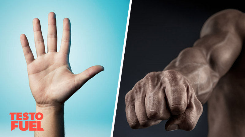 Digit Ratio: Finger Length and Testosterone – TestoFuel