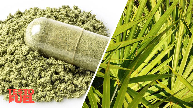 Herbs-and-Testosterone