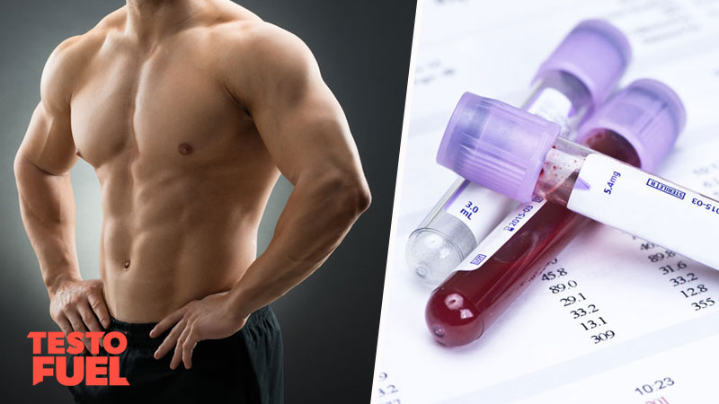 How to Check Testosterone Levels – TestoFuel