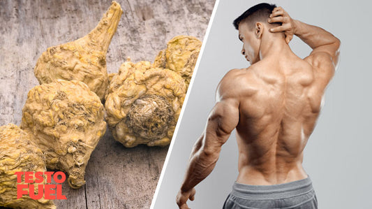 Maca for Sexual Desire Feature Image