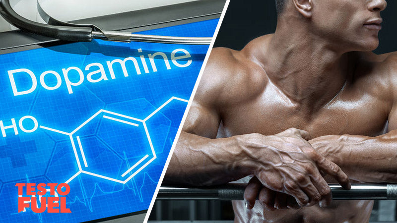 Bodybuilder leaning on bar - High Dopamine