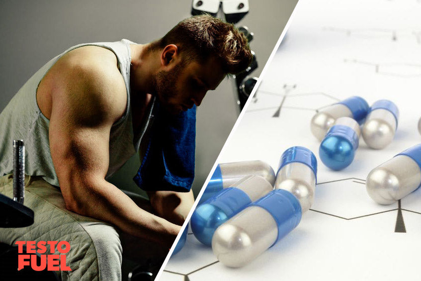 Prohormone-side-effects-long-term Feature Image