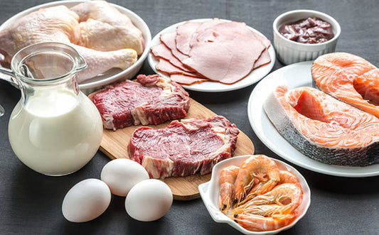 Protein-testosterone