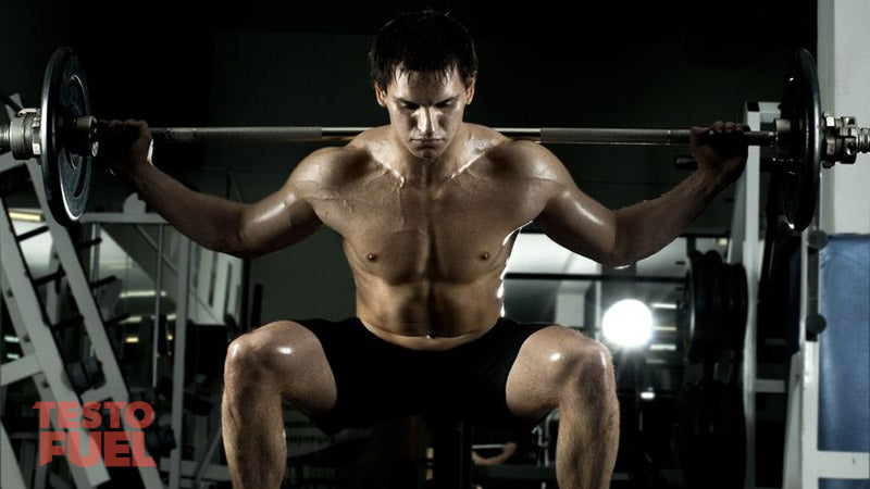 Squat Testosterone