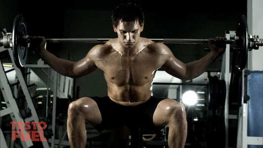 Squat Testosterone
