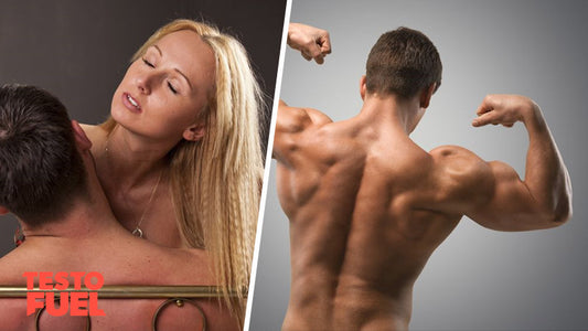 Testosterone and Sex: The Man's Guide