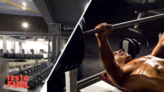 What-is-testosterone-and-what-does-it-do-feature-image