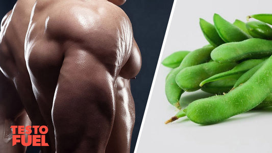 does-soy-lower-testosterone-in-men Feature Image