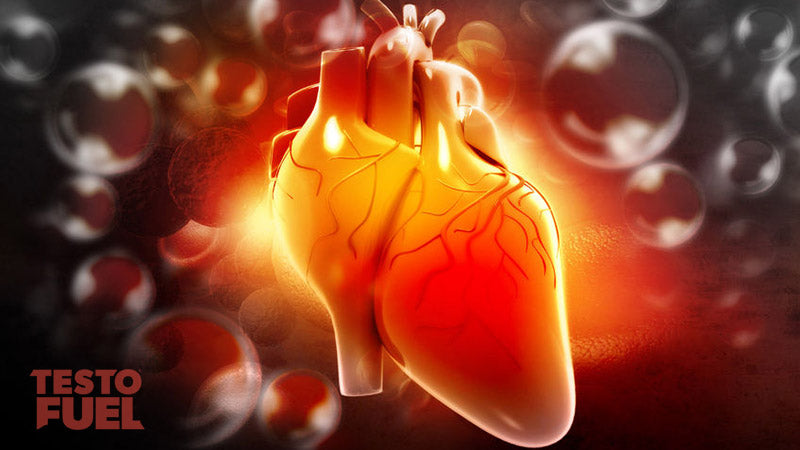 heart-health-feature