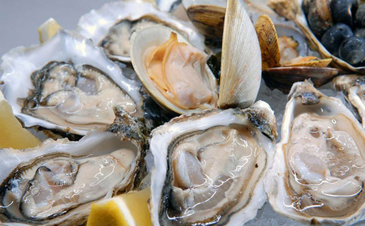 oyster-feature