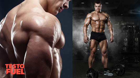 two masculine bodybuilders showing high levels of hypertrophy and testosterone