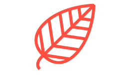 Ginseng