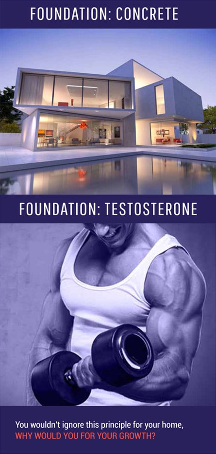 Foundation comparison