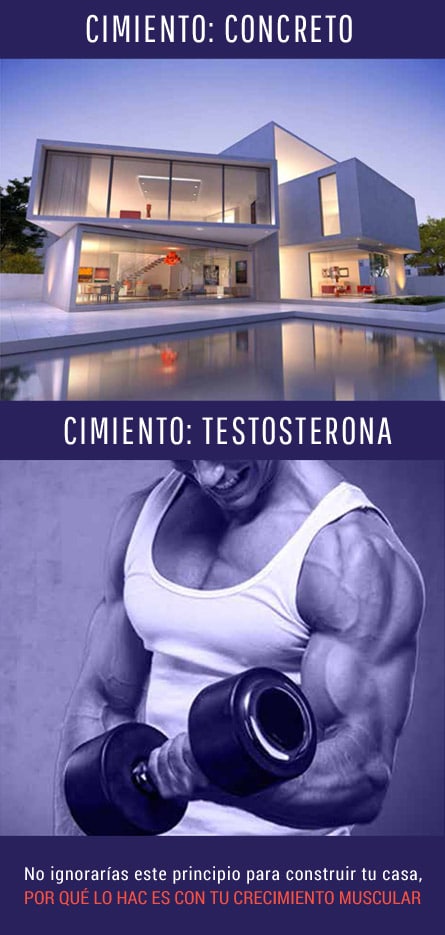 Foundation comparison