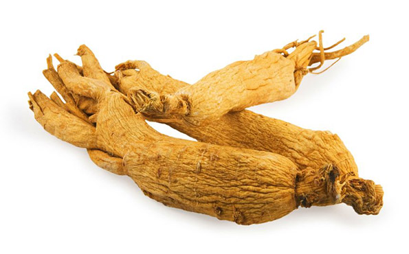 Panax Ginseng Sex 118