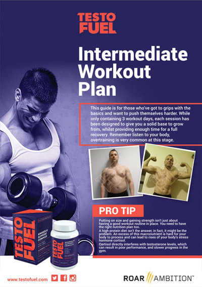 Intermediate Workout Plan