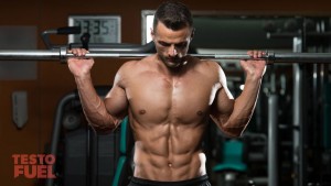 Testosterone’s Role in the Body