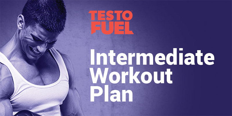 Intermediate Muscle Building Workout Plan