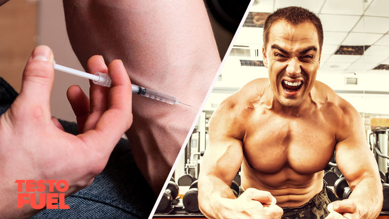 How do Anabolic Steroids Work?