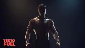 Does Watching Porn Increase Testosterone? | TestoFuel