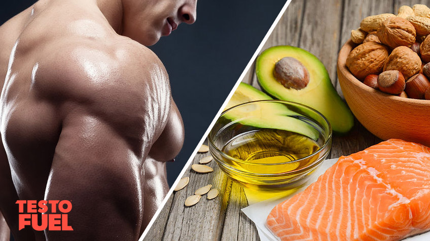 The Relationship Between High Fat Diet & Testosterone Levels