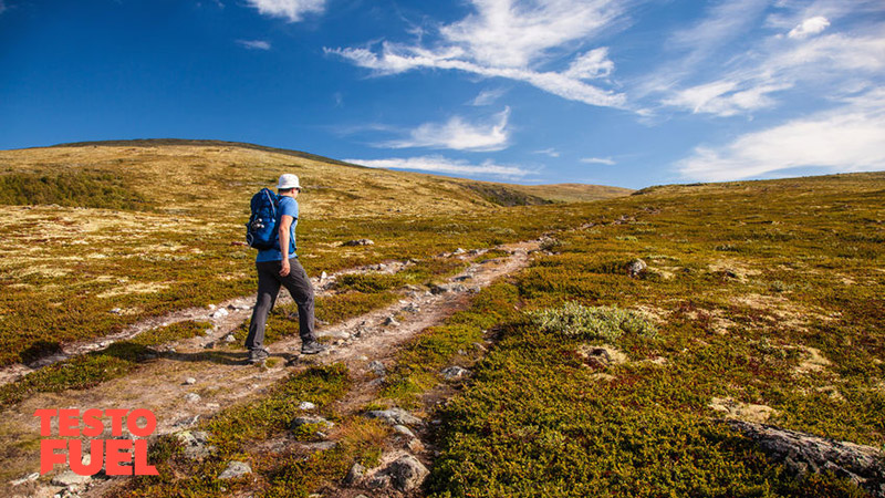 does walking increase testosterone