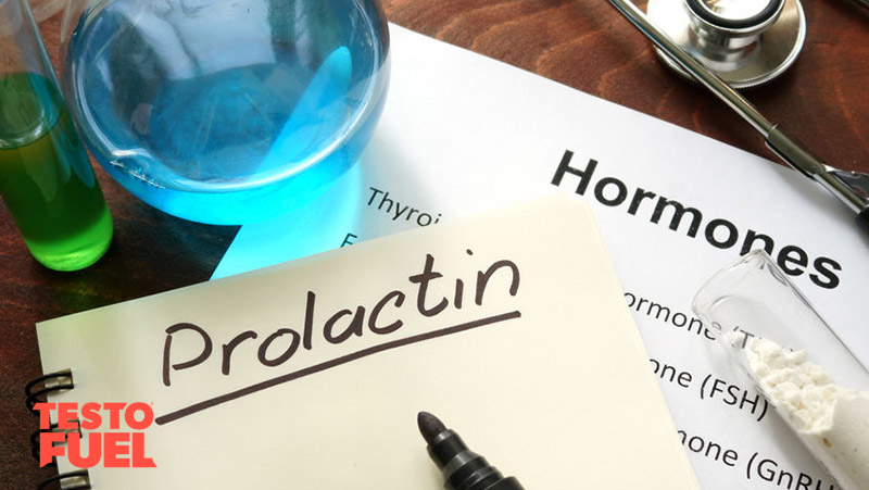 Prolactin-and-Dopamine