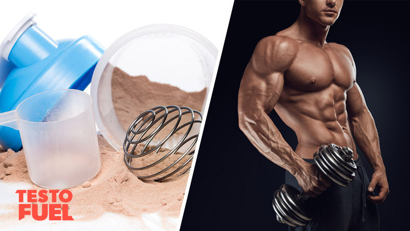 Do You Really Need Protein Shakes?