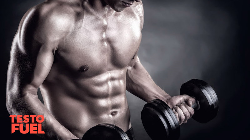 Tongkat-Ali-for-Muscle-Mass