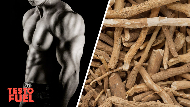 Can Ashwagandha Boost Testosterone?