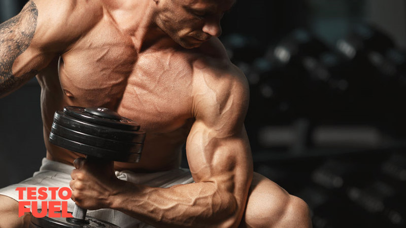 A Complete Guide to Upper Arm Training