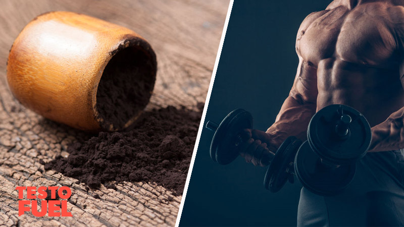 Does Shilajit Boost Testosterone?