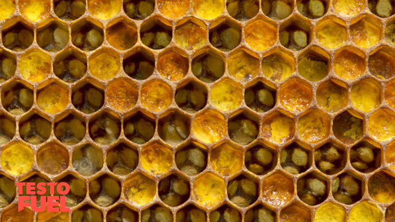 honeycomb-royal-jelly