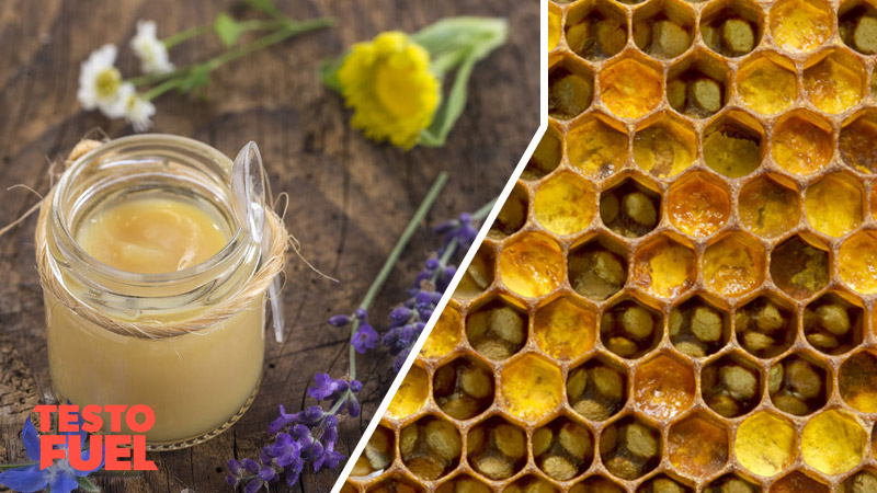 Does Royal Jelly Affect Testosterone?