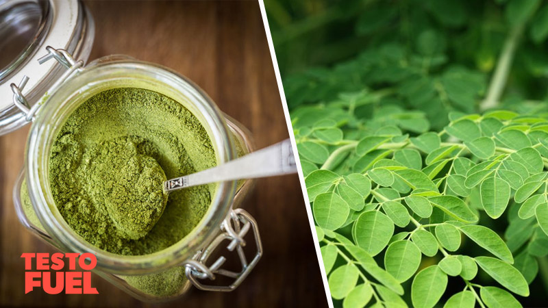 Does Moringa Boost Testosterone?