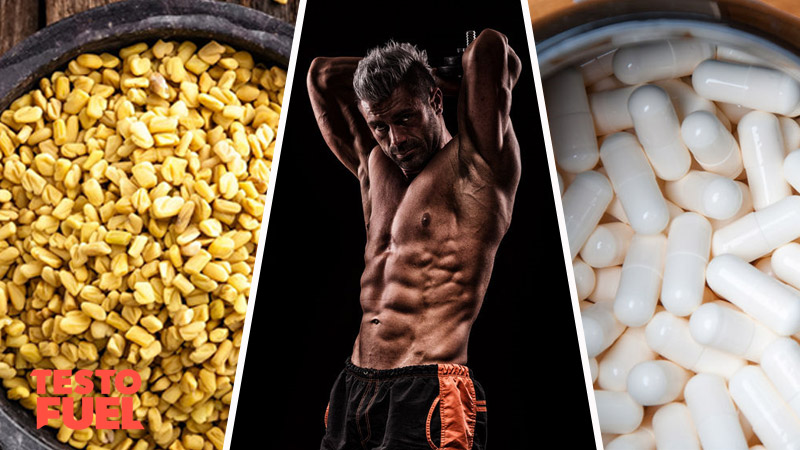 Use Fenugreek To Improve Creatine Absorbtion