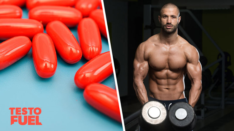 All You Need to Know About Testosterone Boosters