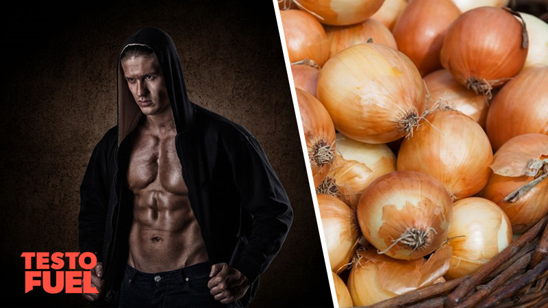 Testosterone by results onions increase 300 Can Onions