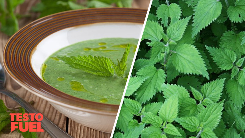 Does Stinging Nettle Increase Testosterone?