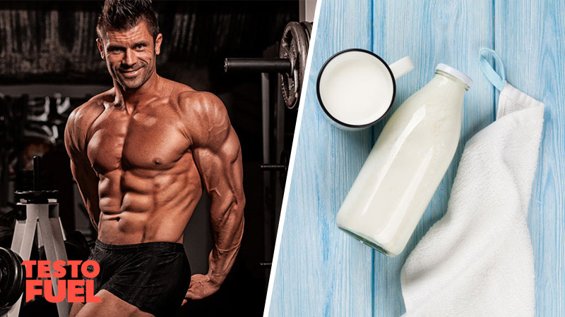 How Does Milk Affect Your Testosterone Levels?