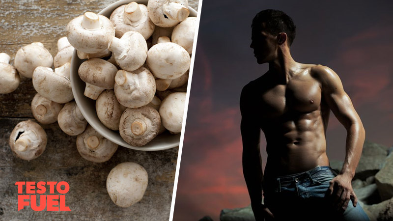 Do Mushrooms Affect Testosterone Levels?