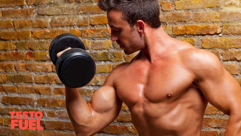 A bodybuilder bicep curling a dumbbell in front of a brick wall