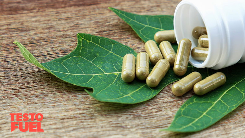 Bryonia pills laid out on a leaf. A bottle of the pills is on top of the leaf