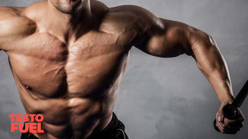 Muscular bodybuilder doing cable crossovers for chest