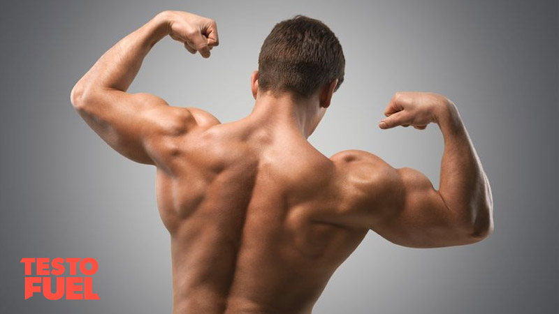 Young bodybuilder facing away from camera and performing a double bicep pose